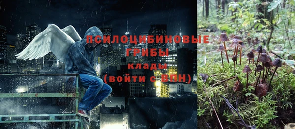 мдпв Вяземский