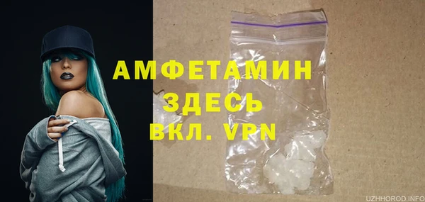 мдпв Вяземский