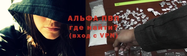 мдпв Вяземский