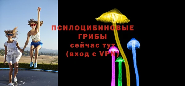 мдпв Вяземский