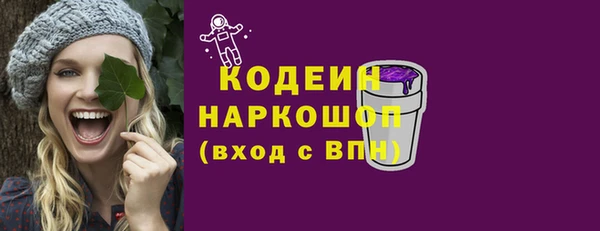 мдпв Вяземский