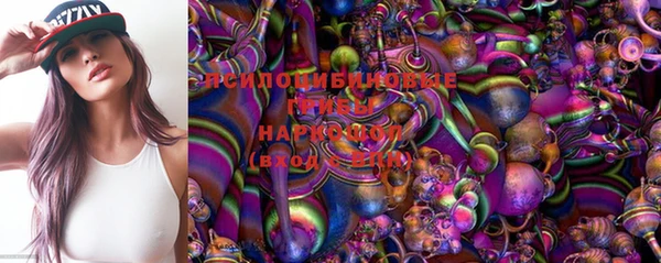 мдпв Вяземский