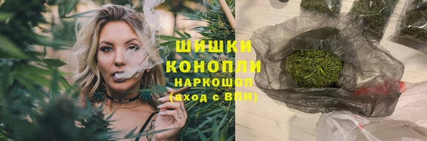 PSILOCYBIN Ельня
