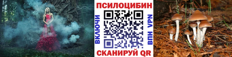 блэк спрут зеркало  Дудинка  Псилоцибиновые грибы мухоморы 